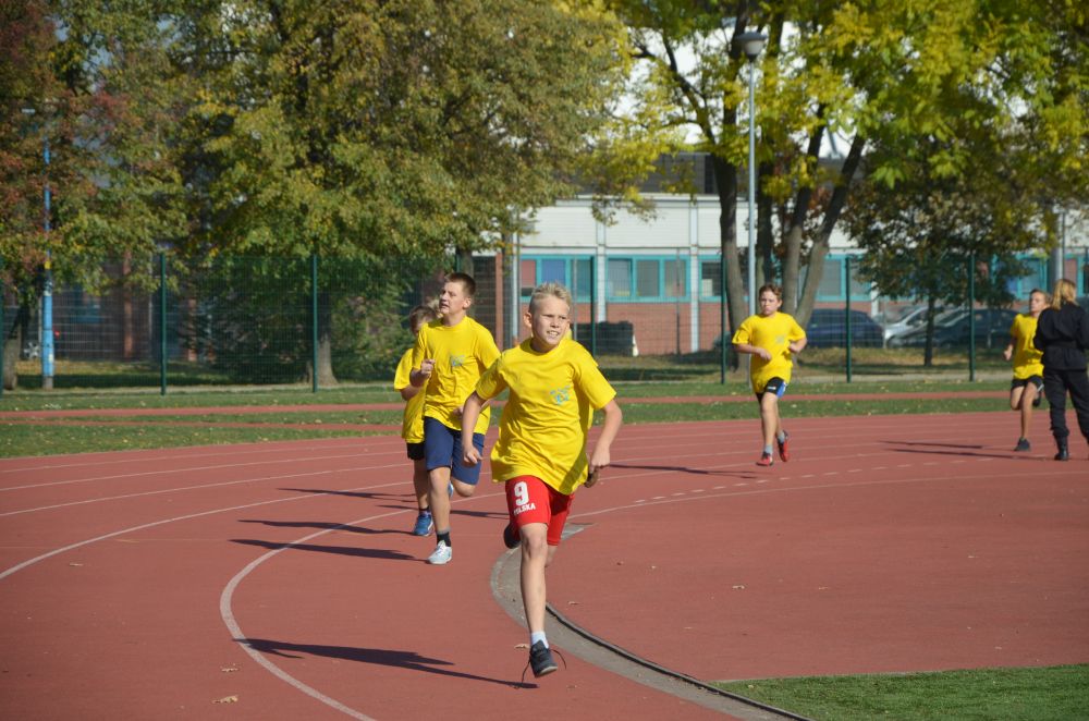8. Legnicki Bieg Papieski w Parku Miejskim              
