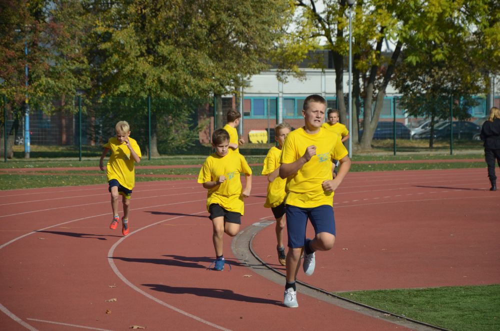 8. Legnicki Bieg Papieski w Parku Miejskim              
