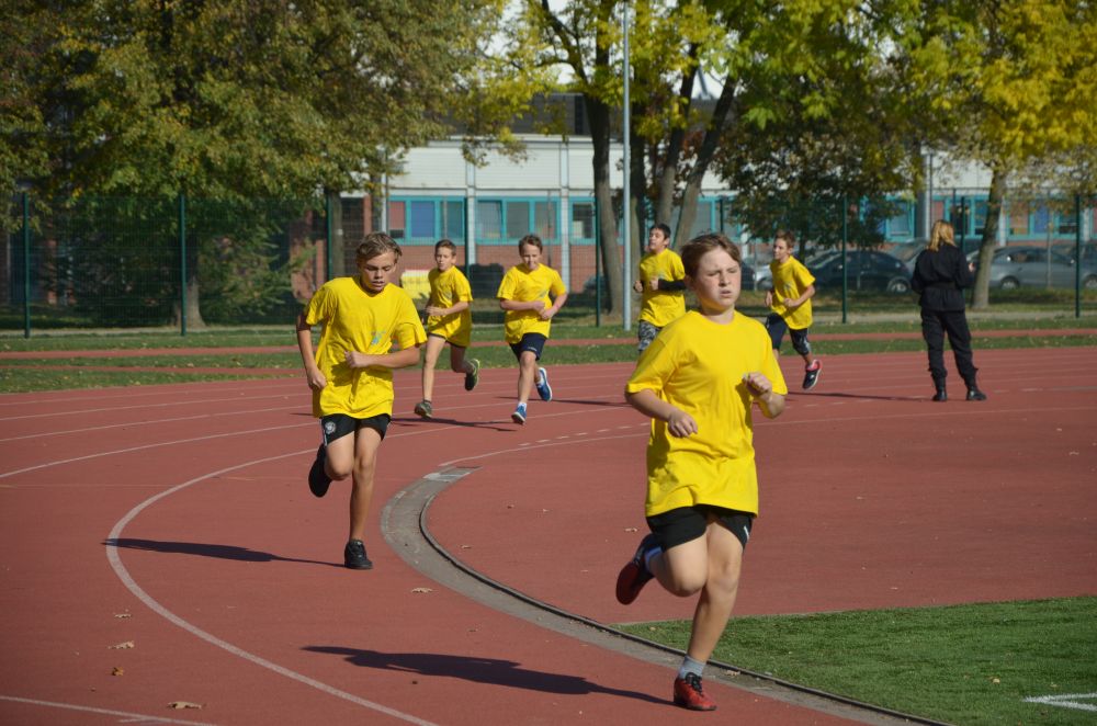 8. Legnicki Bieg Papieski w Parku Miejskim              
