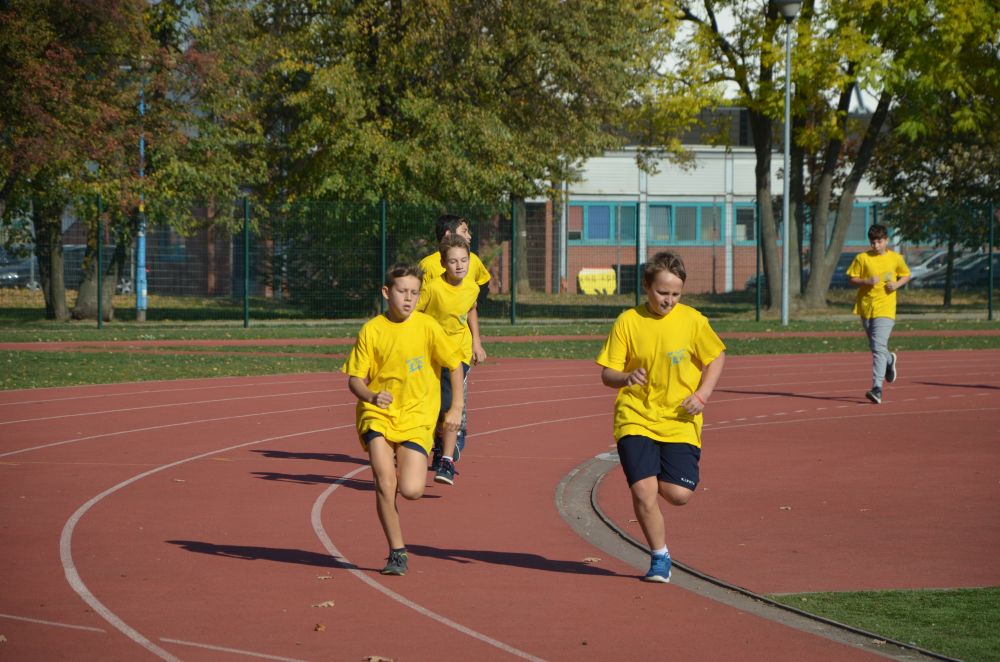 8. Legnicki Bieg Papieski w Parku Miejskim              
