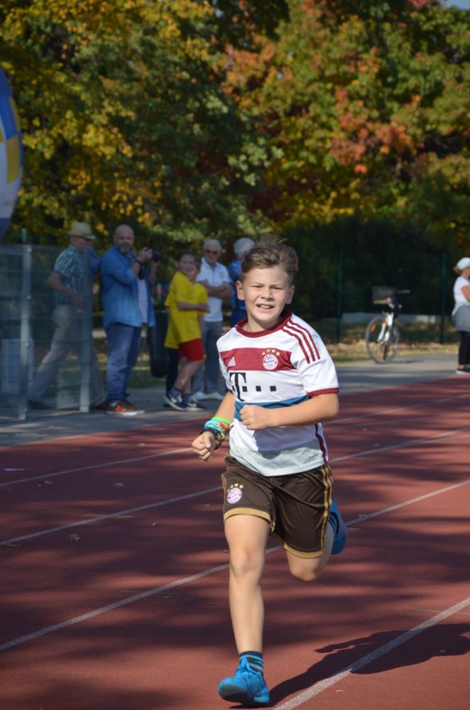 8. Legnicki Bieg Papieski w Parku Miejskim              
