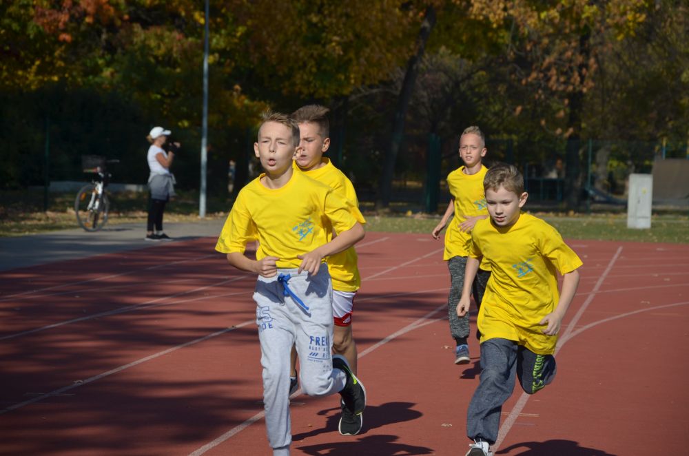 8. Legnicki Bieg Papieski w Parku Miejskim              
