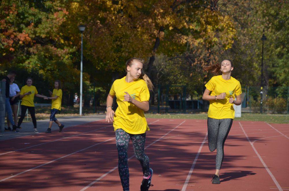 8. Legnicki Bieg Papieski w Parku Miejskim              
