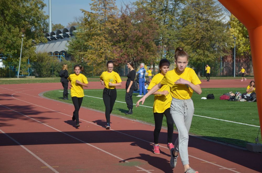 8. Legnicki Bieg Papieski w Parku Miejskim              
