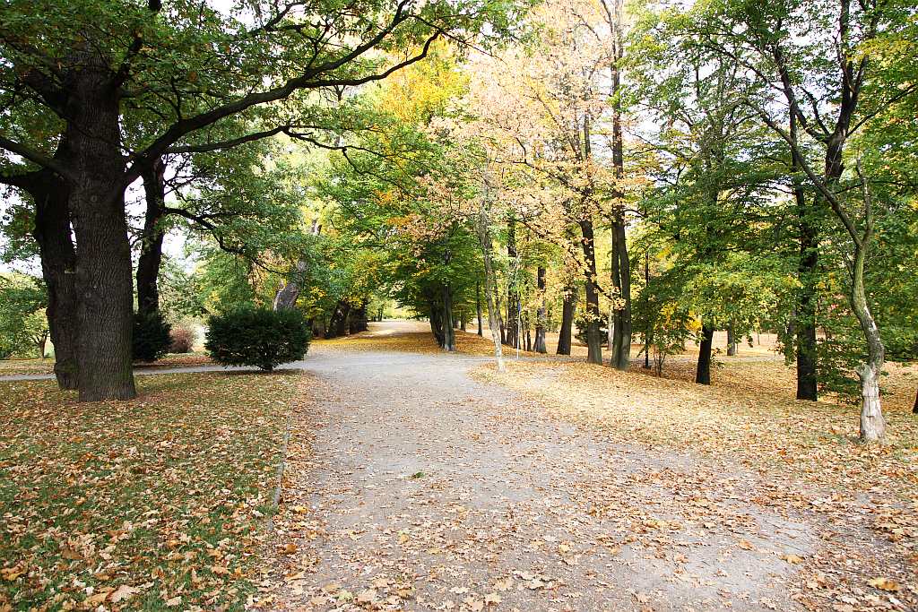Legnicki park zachwyca spacerowiczów barwami jesieni
