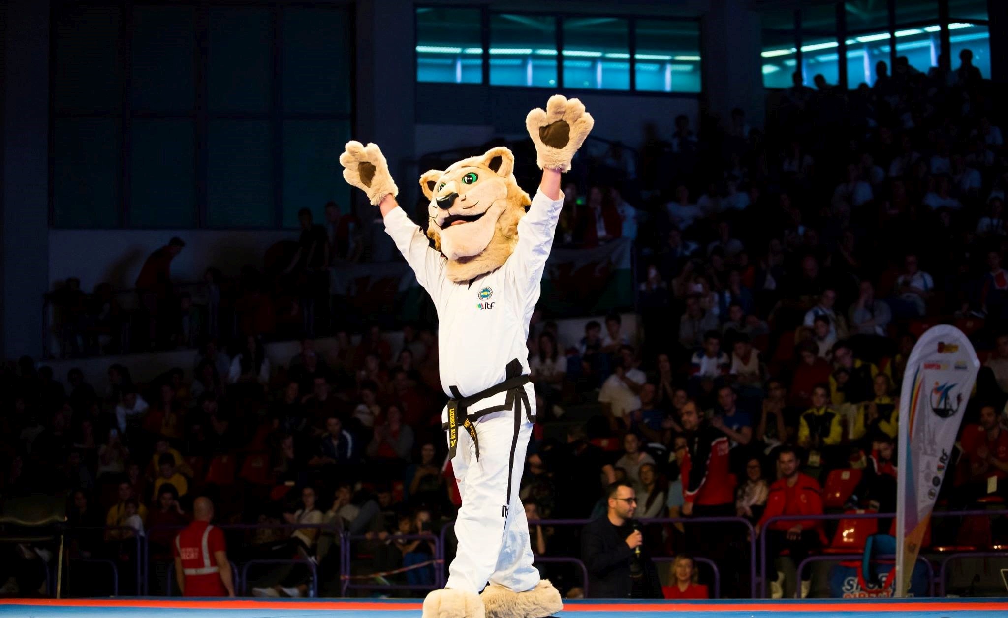 Legniczanie z medalami na Pucharze Europy w Taekwon-do