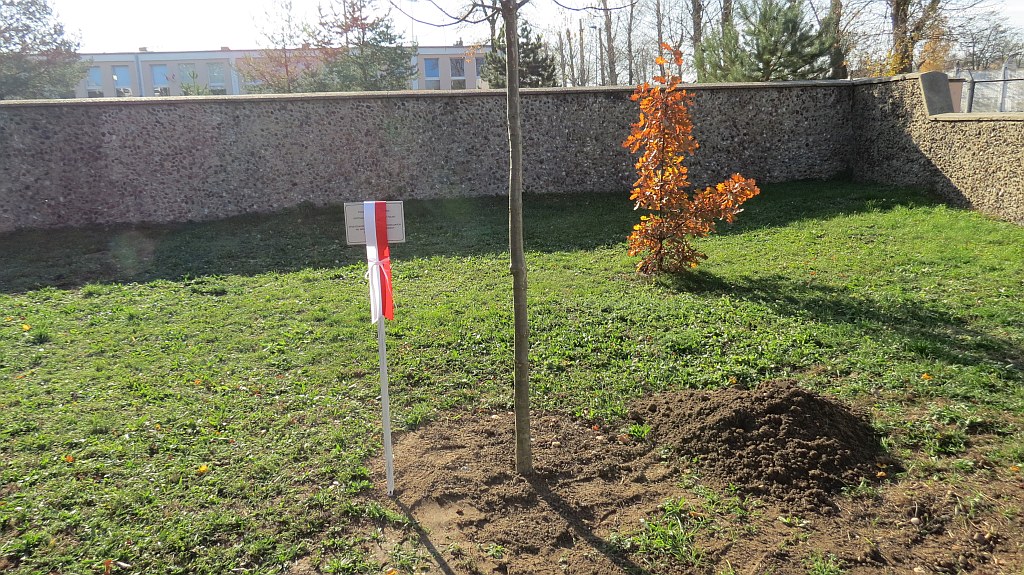 Godność, Wolność, Niepodległość w Zespole Szkół Budowlanych