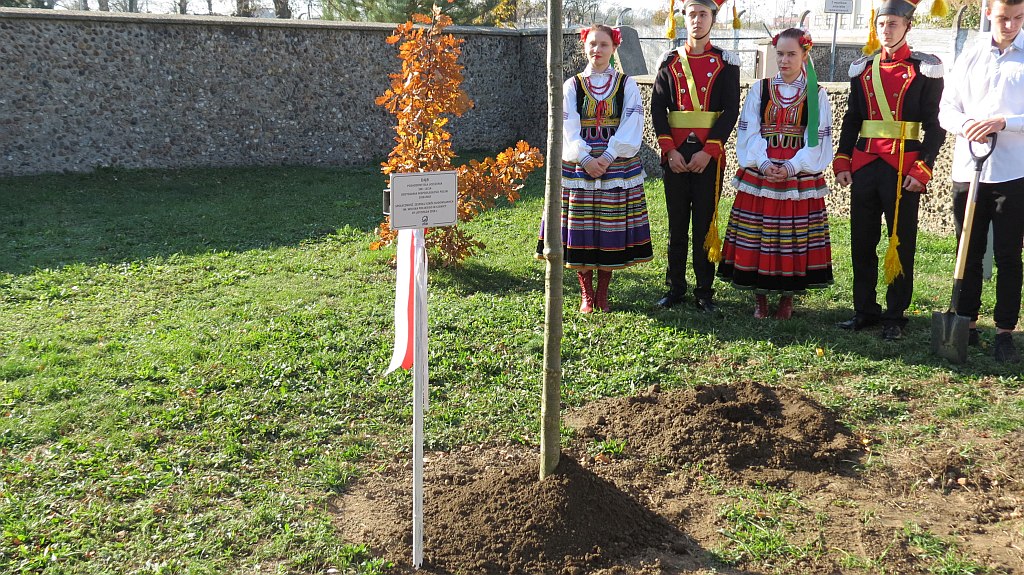 Godność, Wolność, Niepodległość w Zespole Szkół Budowlanych