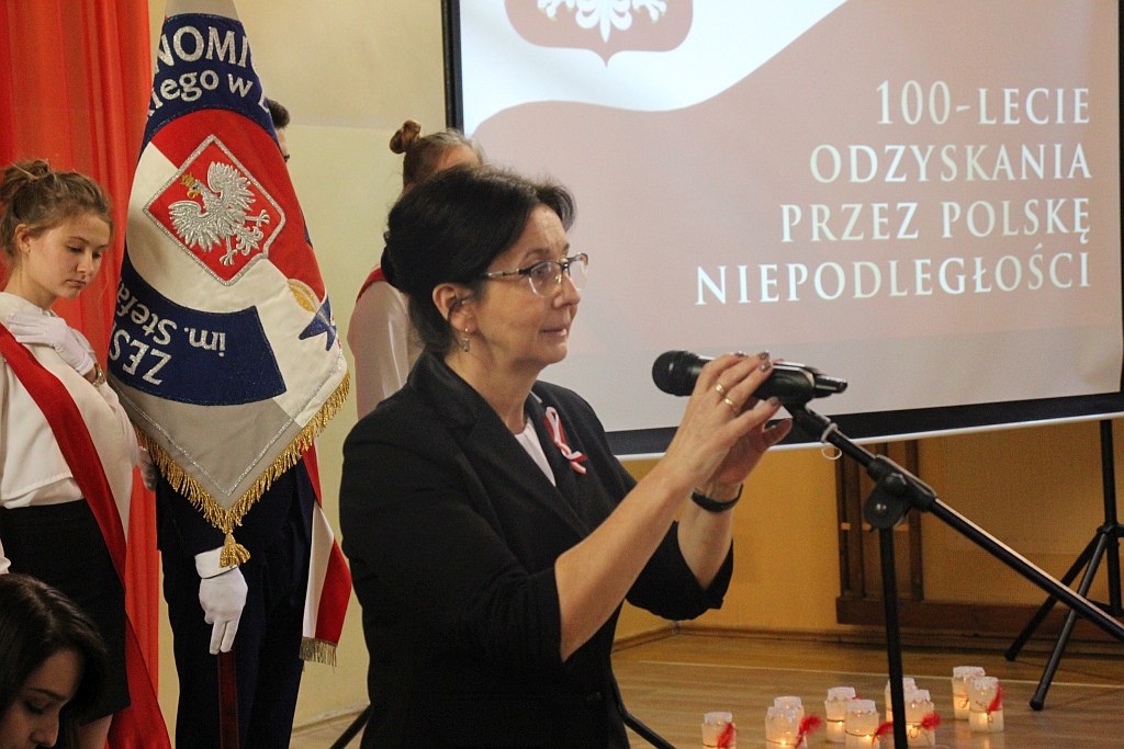 Akademia niepodległościowa w Zespole Szkół Ekonomicznych