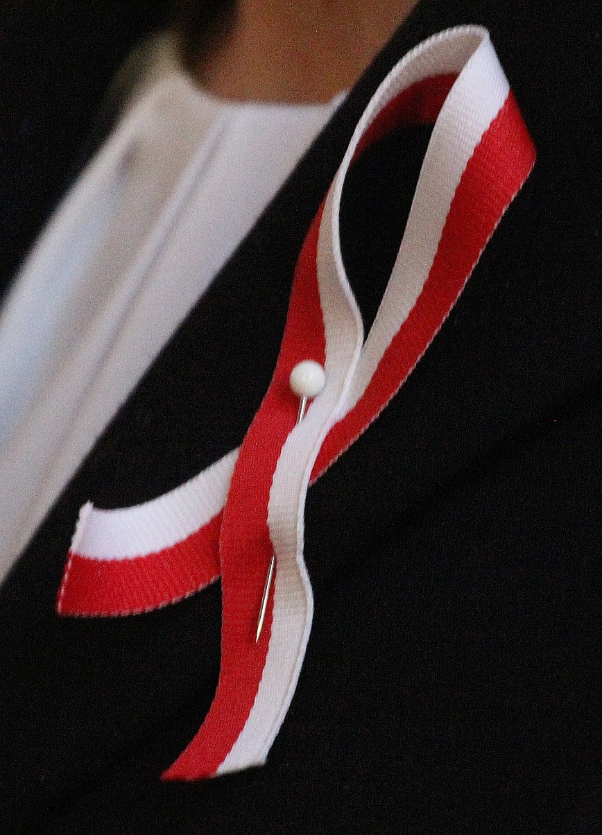Akademia niepodległościowa w Zespole Szkół Ekonomicznych