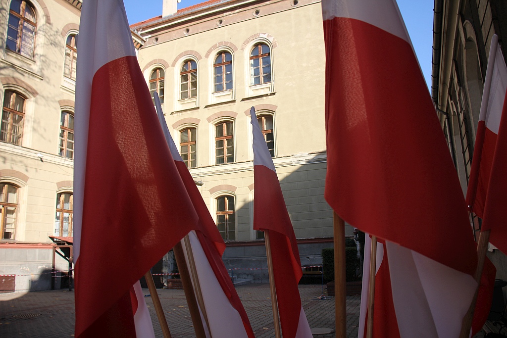 Akademia niepodległościowa w Zespole Szkół Ekonomicznych