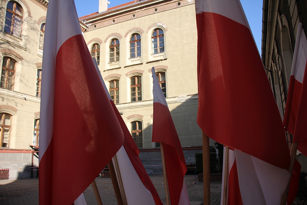 Akademia niepodległościowa w Zespole Szkół Ekonomicznych