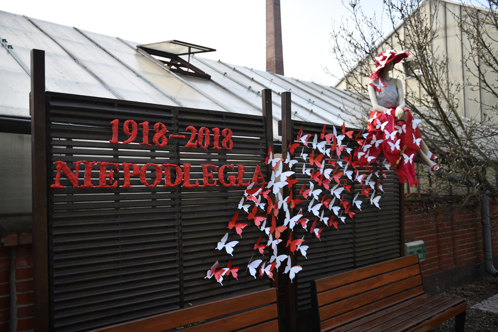 Zobaczcie jak wygląda Legnica świętująca rocznicę niepodległości