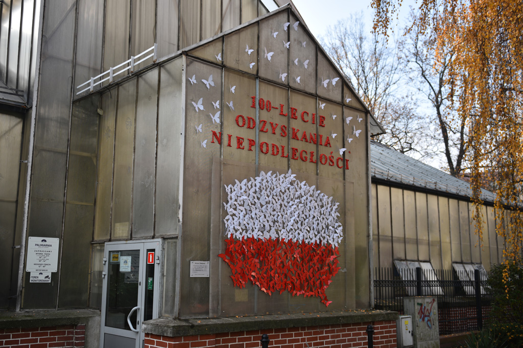 Zobaczcie jak wygląda Legnica świętująca rocznicę niepodległości