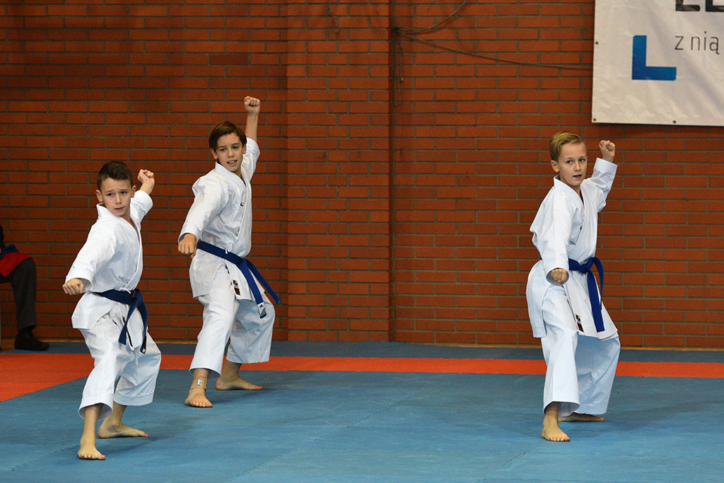 XIX Cuprum Cup International Karate - Polish Open 2018