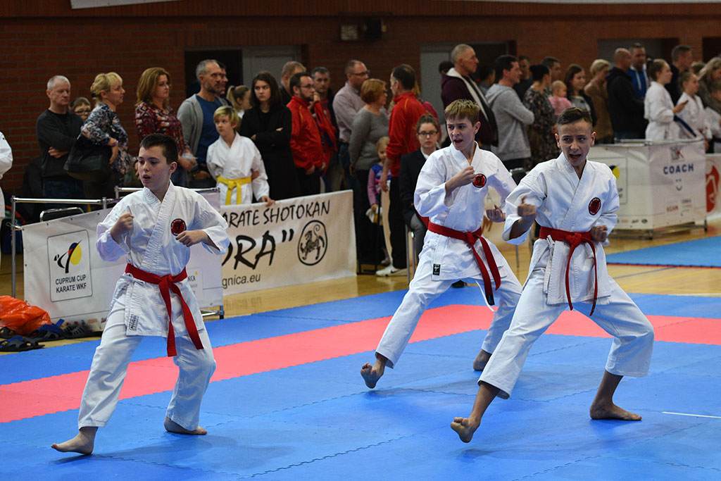 XIX Cuprum Cup International Karate - Polish Open 2018
