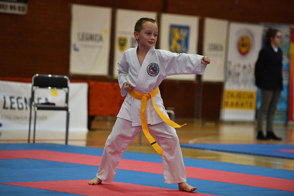 XIX Cuprum Cup International Karate - Polish Open 2018