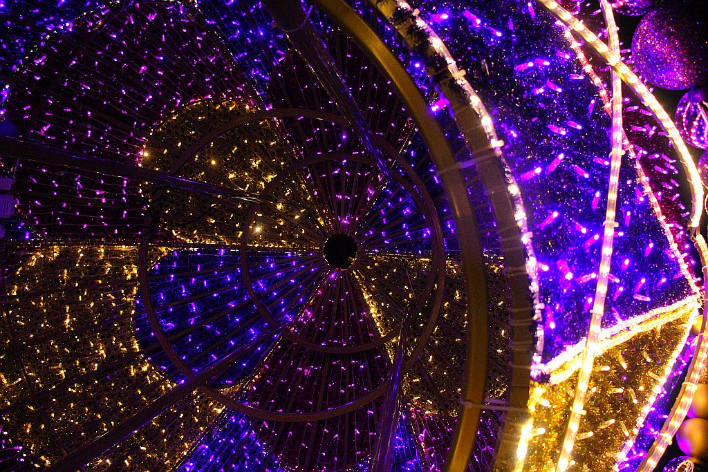 Iluminacje w Legnicy już zachwycają i cieszą i oczy
