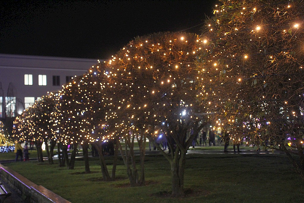 Iluminacje w Legnicy już zachwycają i cieszą i oczy
