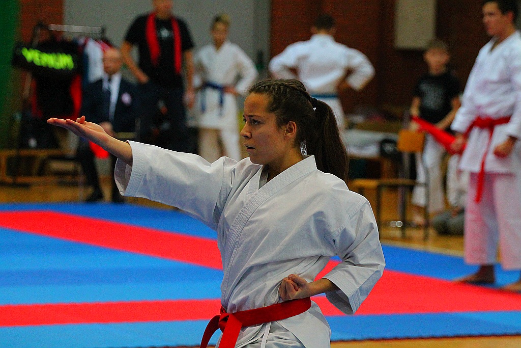 Pierwsza edycja turnieju karate Arashi Cup już za nami