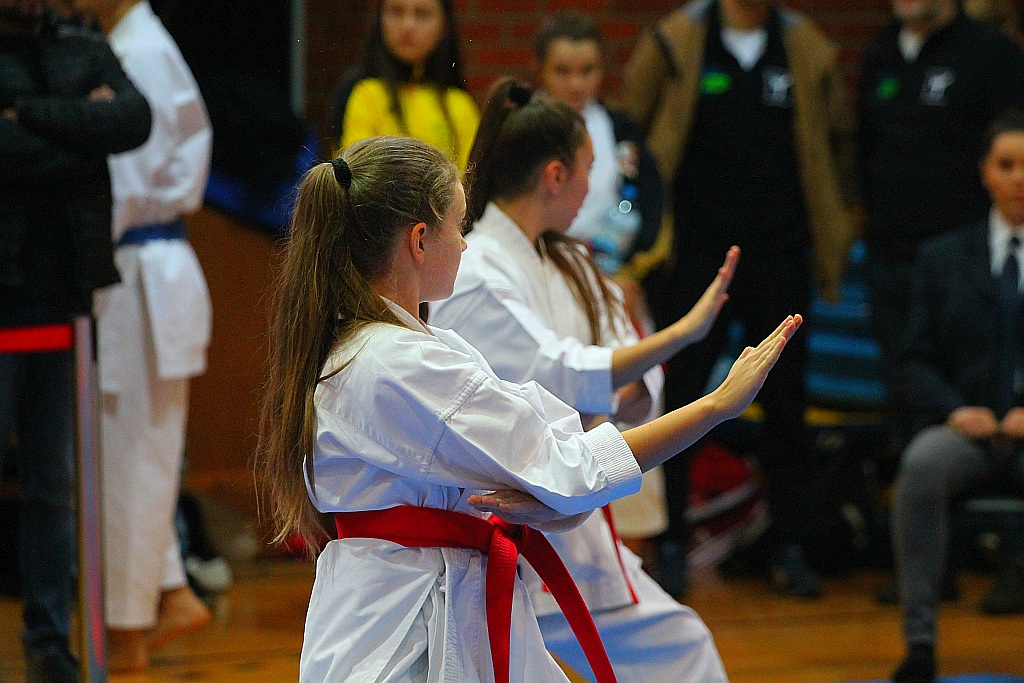 Pierwsza edycja turnieju karate Arashi Cup już za nami