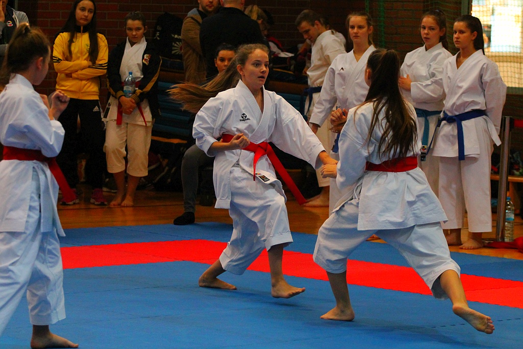 Pierwsza edycja turnieju karate Arashi Cup już za nami
