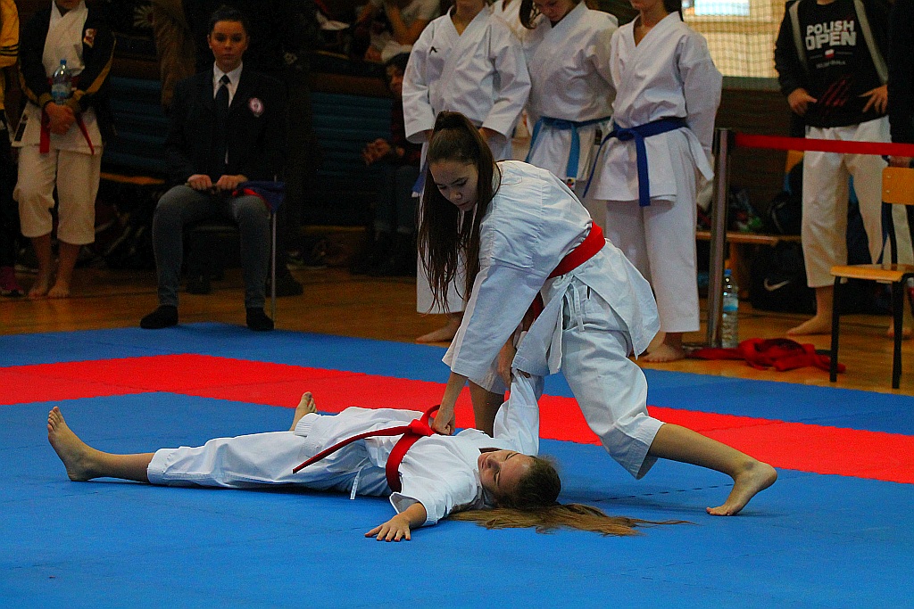 Pierwsza edycja turnieju karate Arashi Cup już za nami