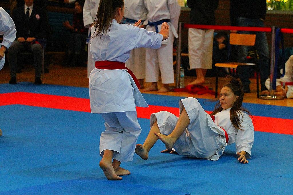 Pierwsza edycja turnieju karate Arashi Cup już za nami