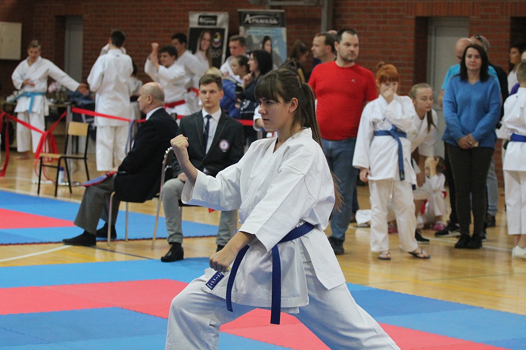 Pierwsza edycja turnieju karate Arashi Cup już za nami