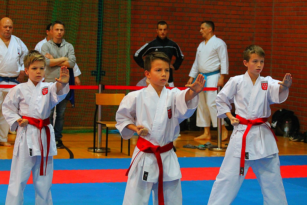 Pierwsza edycja turnieju karate Arashi Cup już za nami