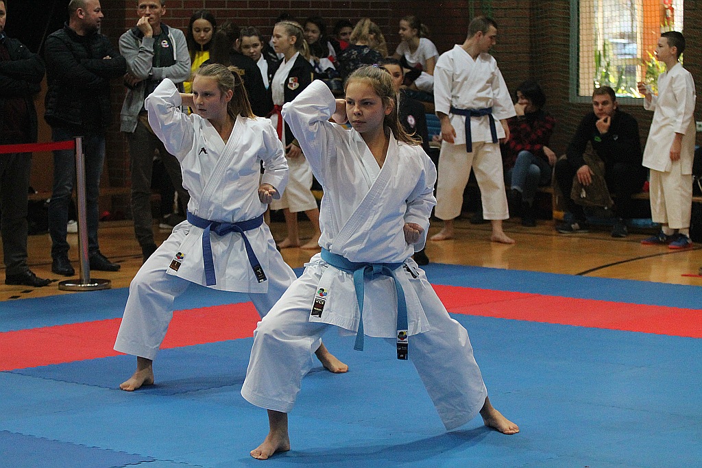 Pierwsza edycja turnieju karate Arashi Cup już za nami