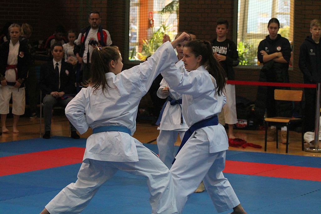 Pierwsza edycja turnieju karate Arashi Cup już za nami