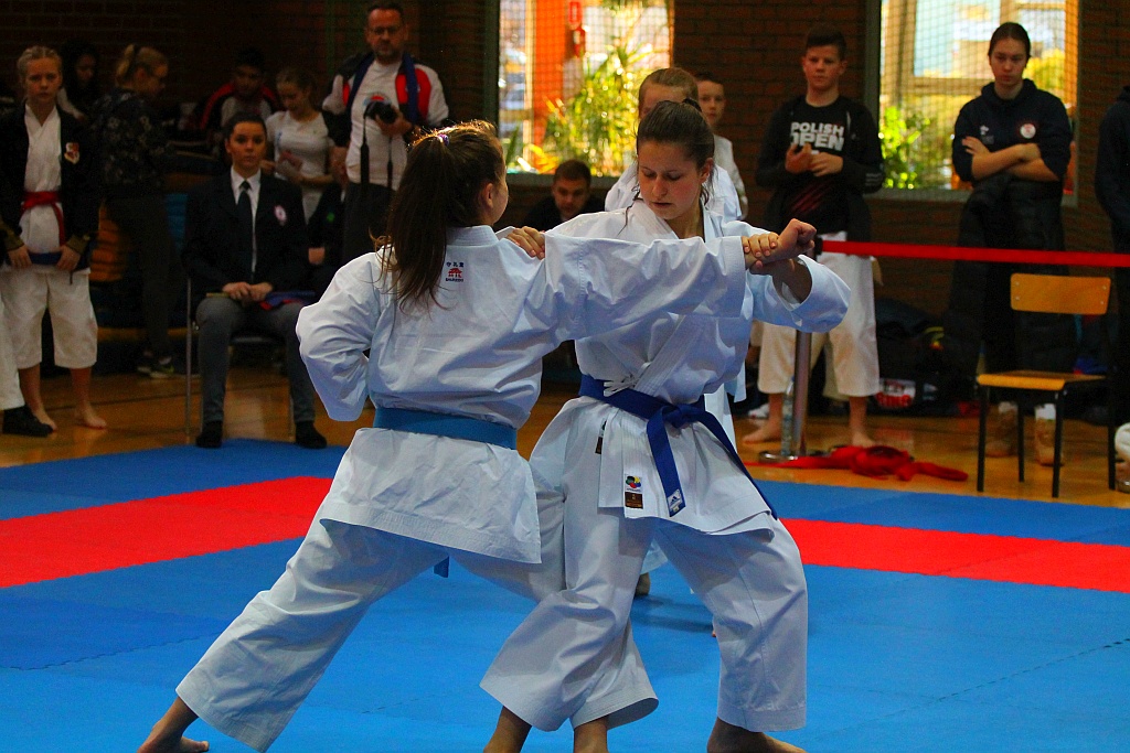 Pierwsza edycja turnieju karate Arashi Cup już za nami