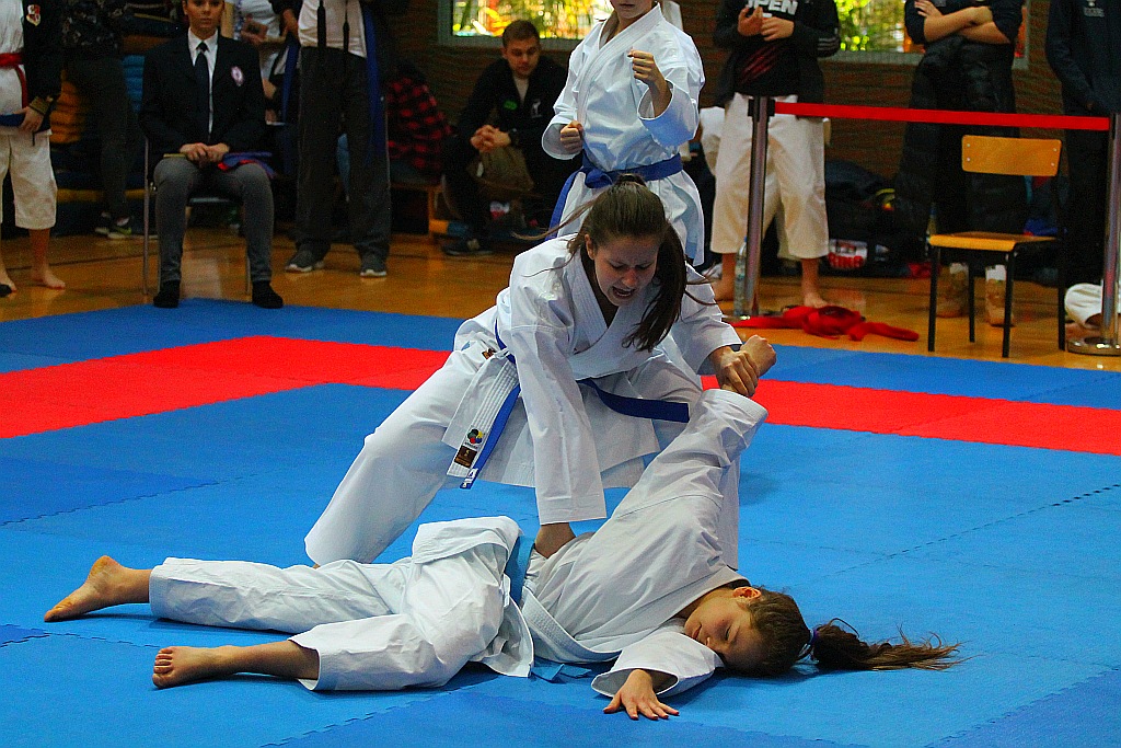 Pierwsza edycja turnieju karate Arashi Cup już za nami