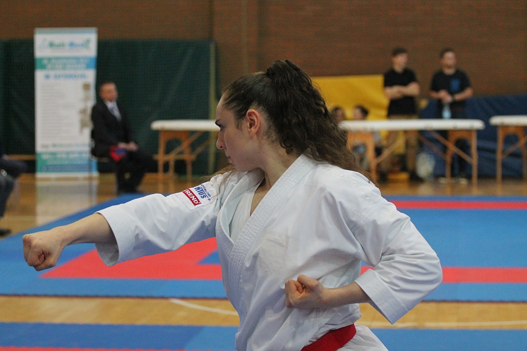 Pierwsza edycja turnieju karate Arashi Cup już za nami