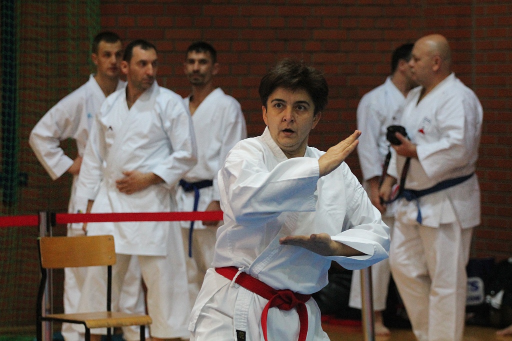 Pierwsza edycja turnieju karate Arashi Cup już za nami