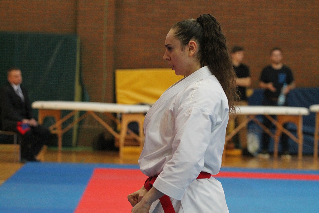 Pierwsza edycja turnieju karate Arashi Cup już za nami