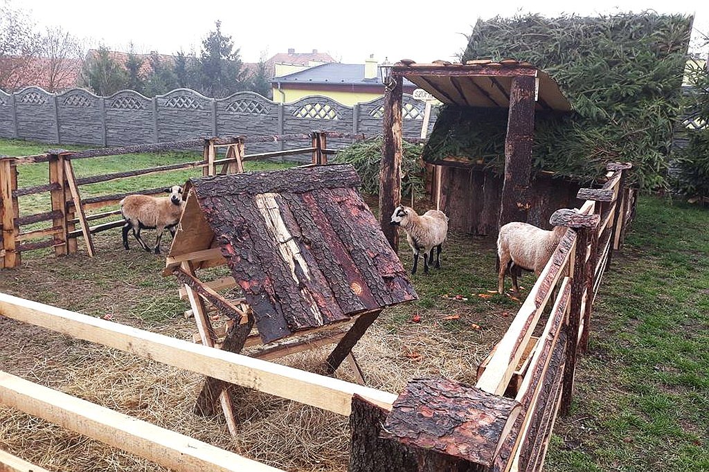 W Taczalinie powstaje żywa Szopka  Bożonarodzeniowa
