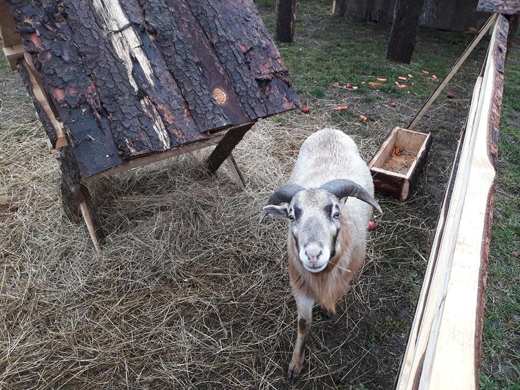 W Taczalinie powstaje żywa Szopka  Bożonarodzeniowa