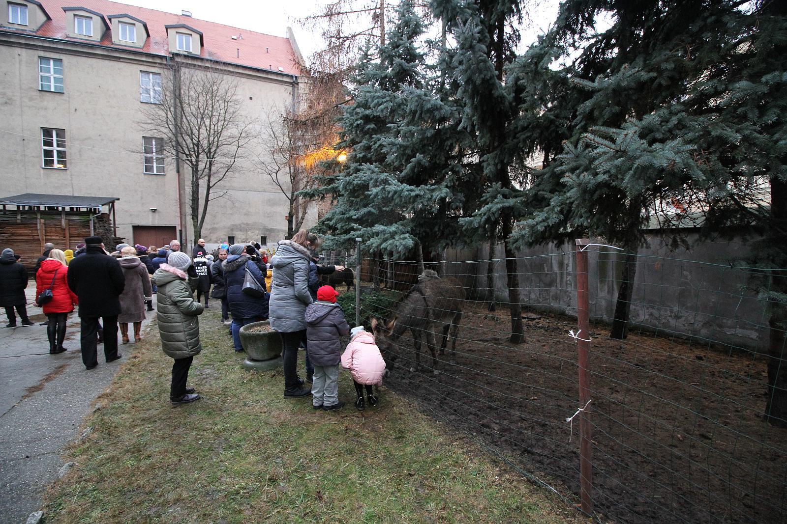 Żywa szopka przy kościele św. Jana cieszy oczy i napawa radością
