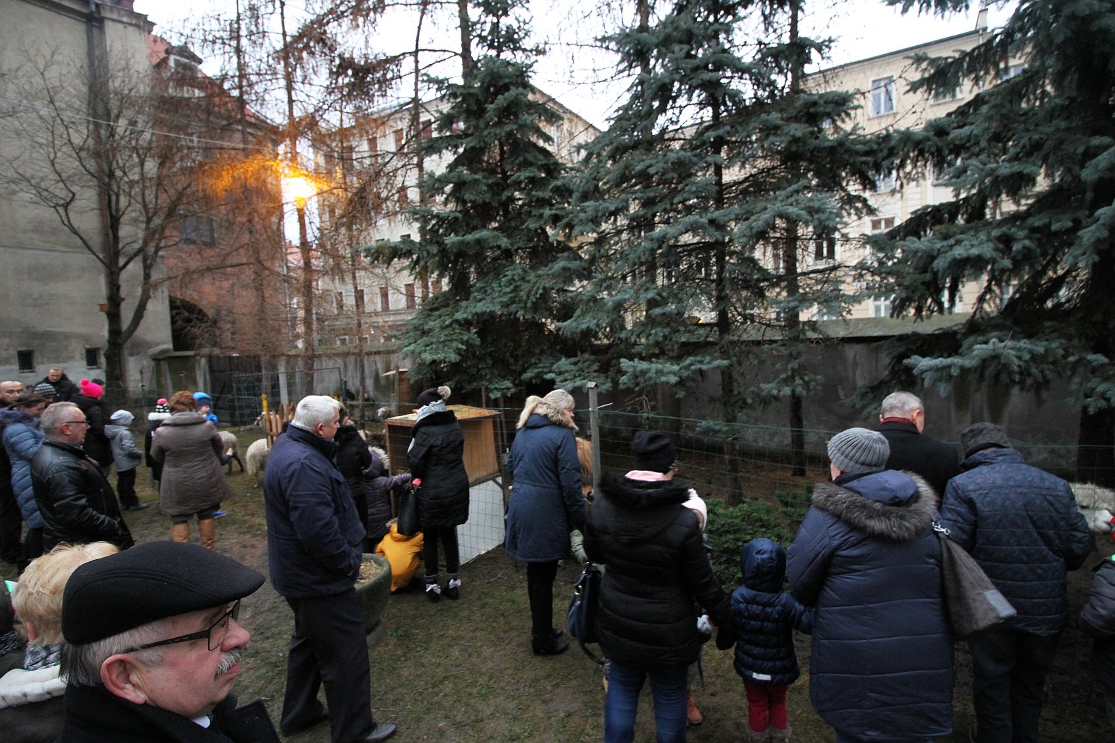 Żywa szopka przy kościele św. Jana cieszy oczy i napawa radością