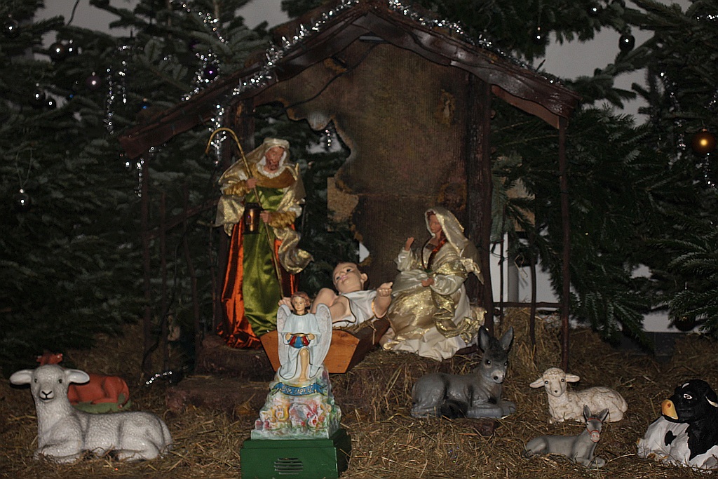 Szopki bożonarodzeniowe w legnickich kościołach        

