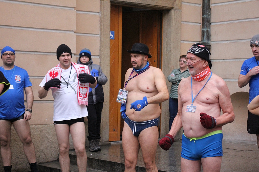 WOŚP: Morsy zanurzyły się w wodzie. Na scenie kolejne występy