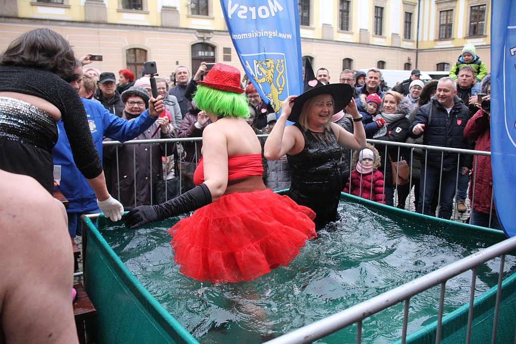 WOŚP: Morsy zanurzyły się w wodzie. Na scenie kolejne występy