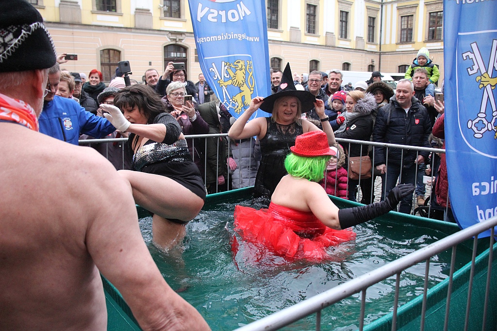 WOŚP: Morsy zanurzyły się w wodzie. Na scenie kolejne występy