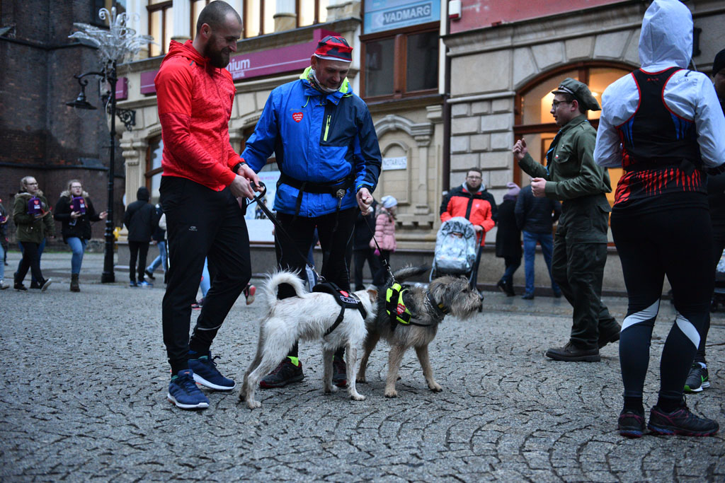 WOŚP: Jubileuszowy Bieg z Serduszkiem. Mimo deszczu tłum