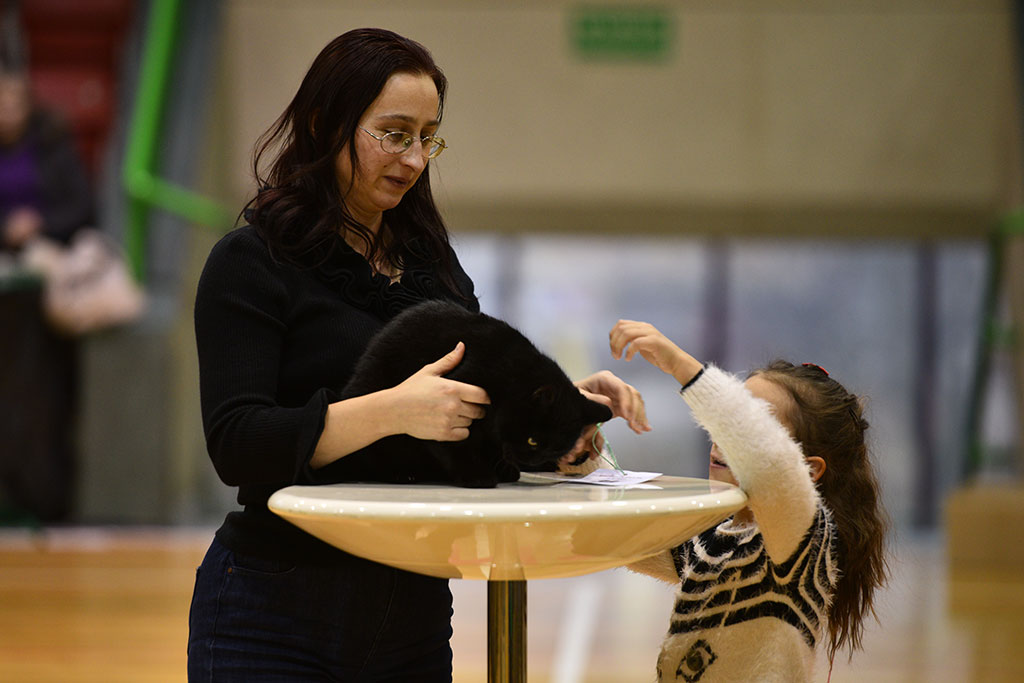 W hali przy ulicy Lotniczej prezentowały się zwierzaki