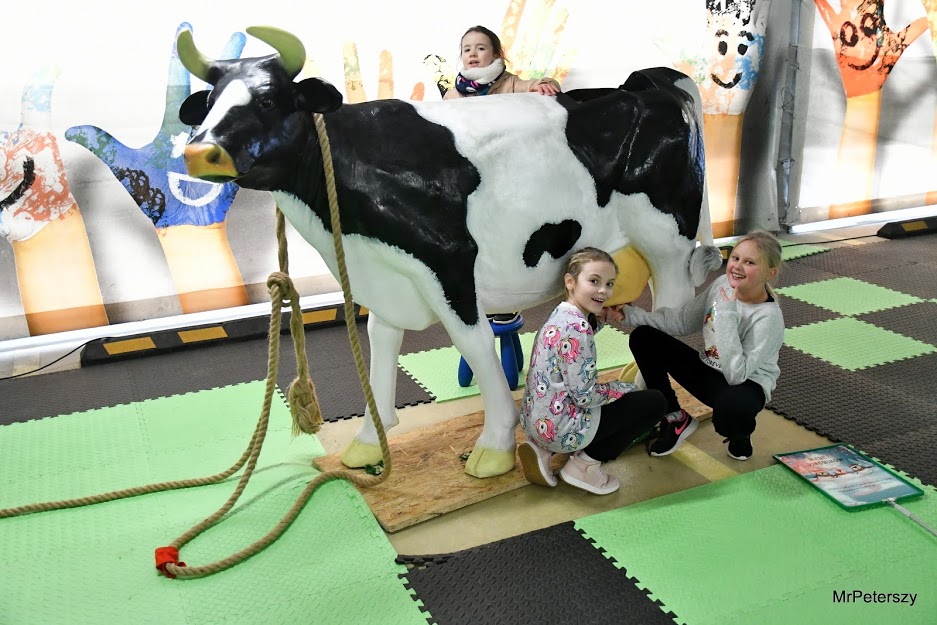 Zakończyły się ferie zimowe w Domu Kultury Atrium w Legnicy