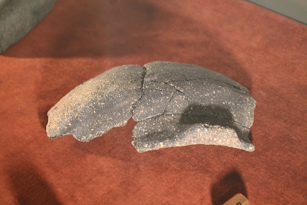 Drogą S3 w przeszłość. Odkrycia archeologiczne z lat 2015-2017