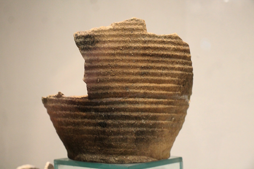 Drogą S3 w przeszłość. Odkrycia archeologiczne z lat 2015-2017